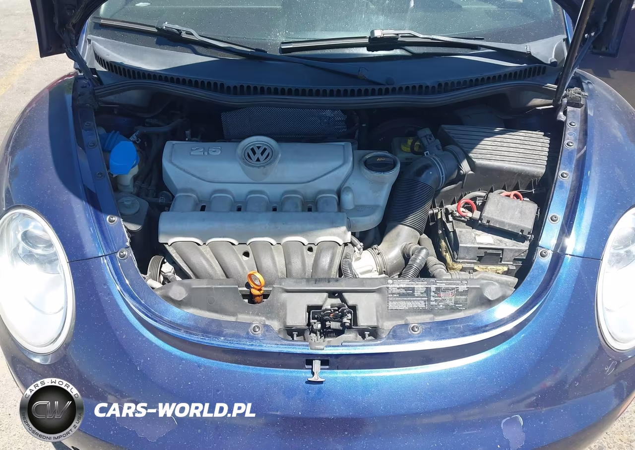 2006 Volkswagen New Beetle 2.5 VIN:3VWSW31C16M413372 - 10