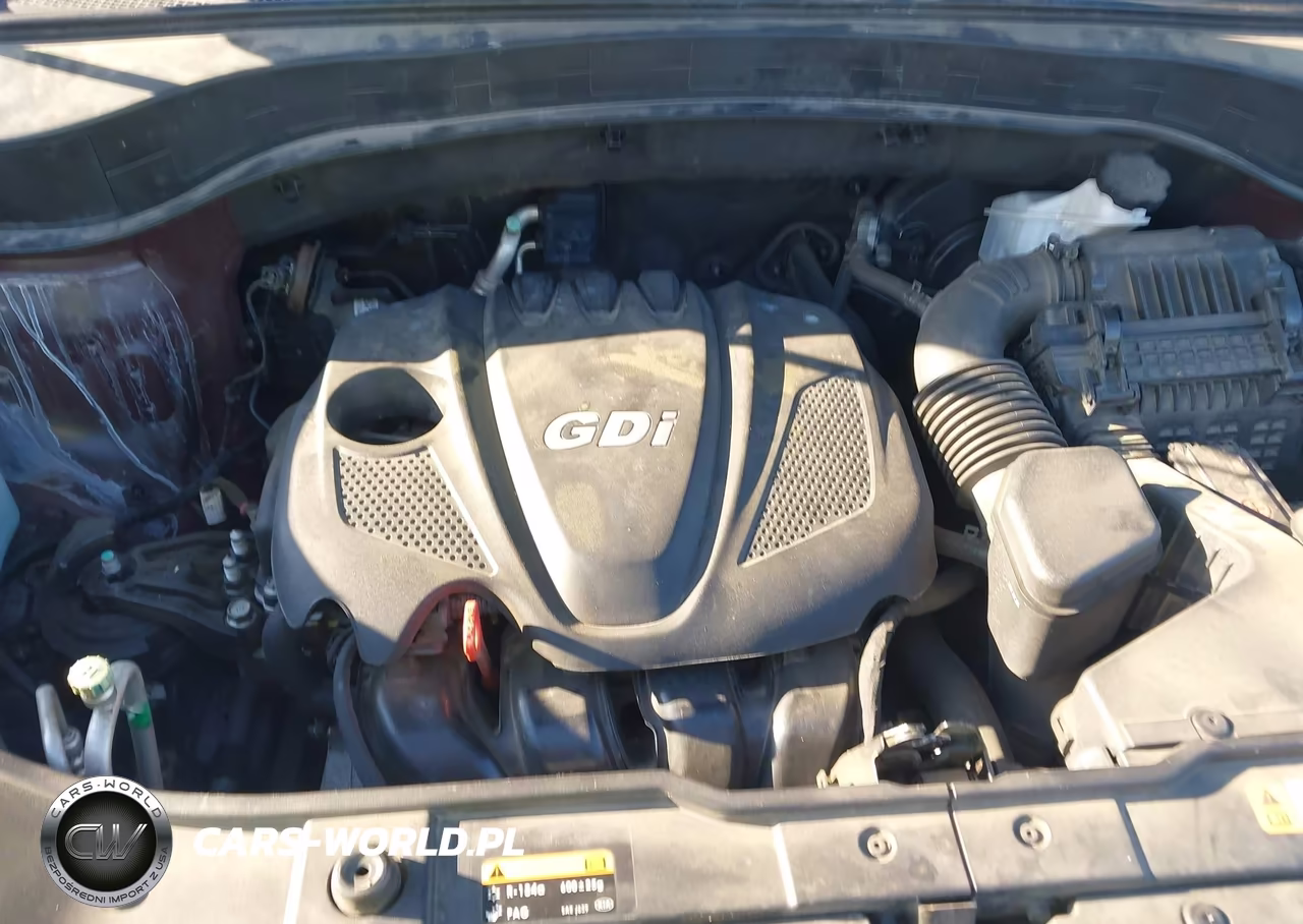 KIA SORENTO LX VIN:5XYKT3A66EG436874 - 10