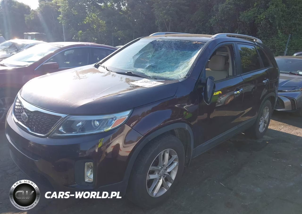 KIA SORENTO LX VIN:5XYKT3A66EG436874 - 2