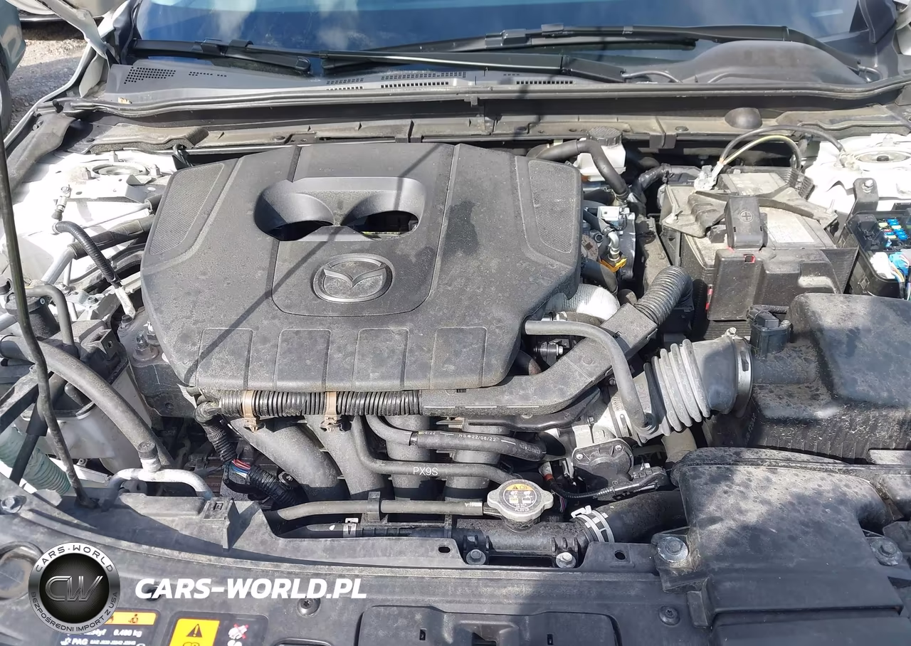 2023 Mazda Mazda3 2.5 S Preferred VIN:3MZBPACM9PM359585 - 10