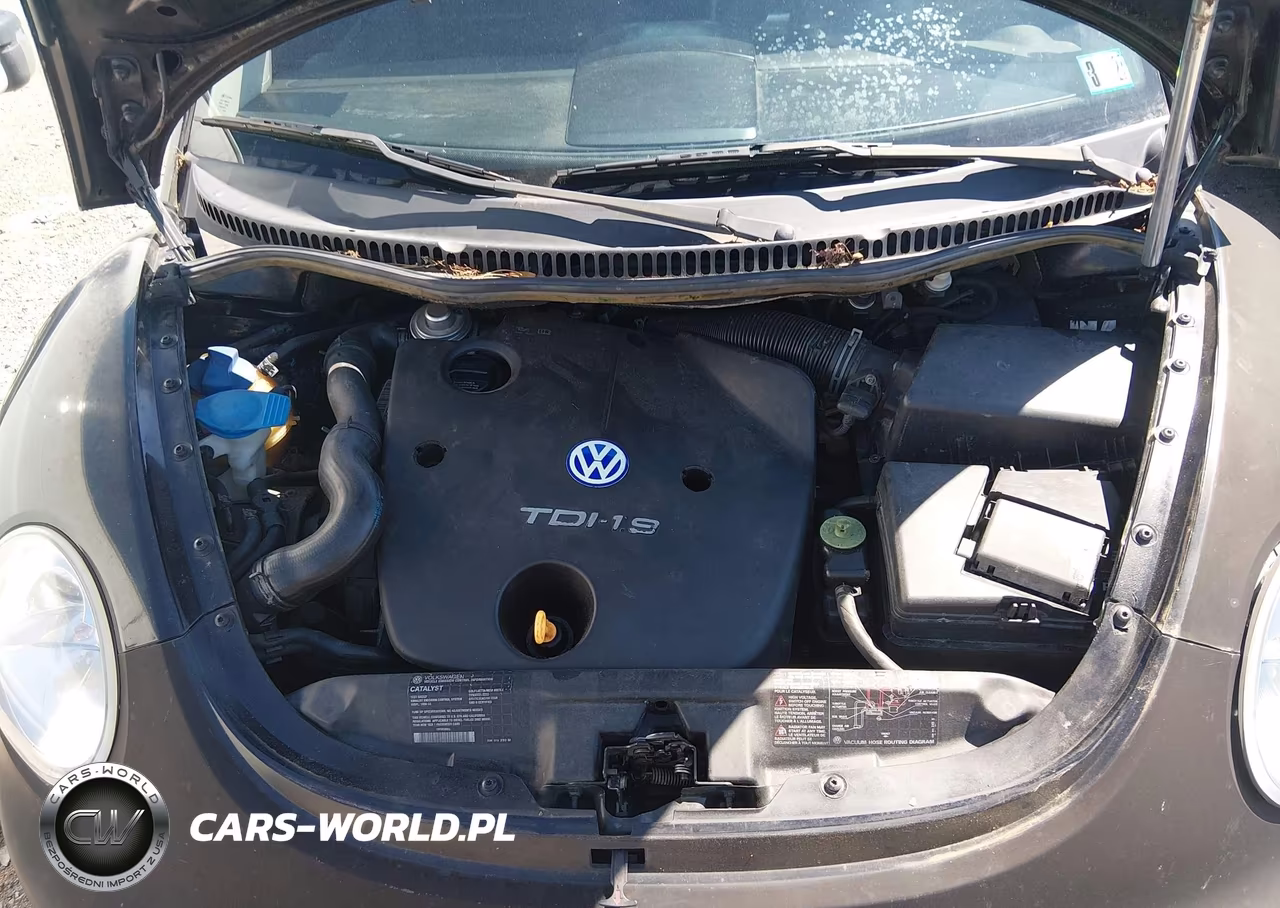 2002 Volkswagen New Beetle Gls Tdi VIN:3VWCP21C82M422432 - 10