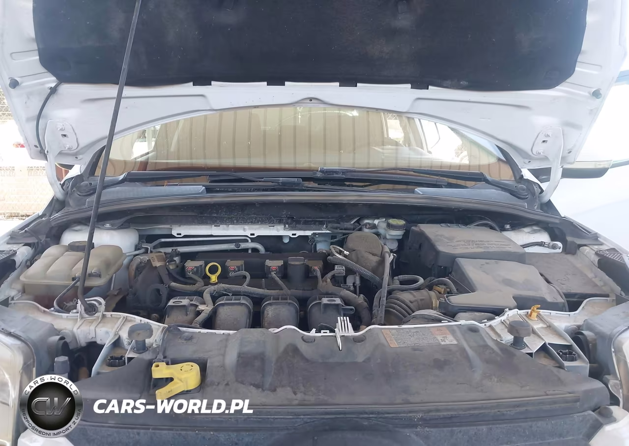 2014 Ford Focus Se VIN:1FADP3F26EL419473 - 10
