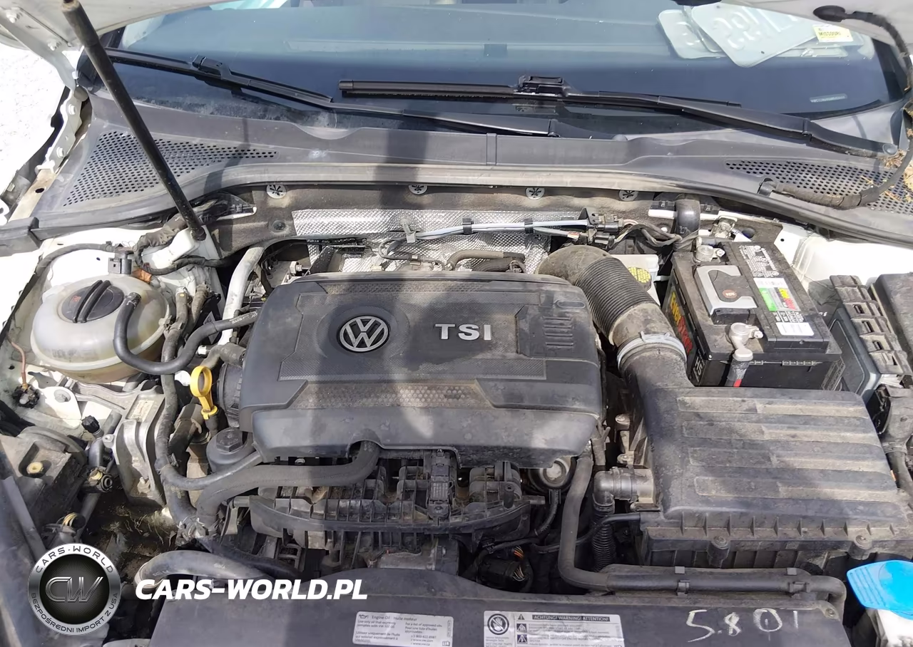 2016 Volkswagen Golf Sportwagen Tsi S 4-Door VIN:3VWC17AU6GM507008 - 10