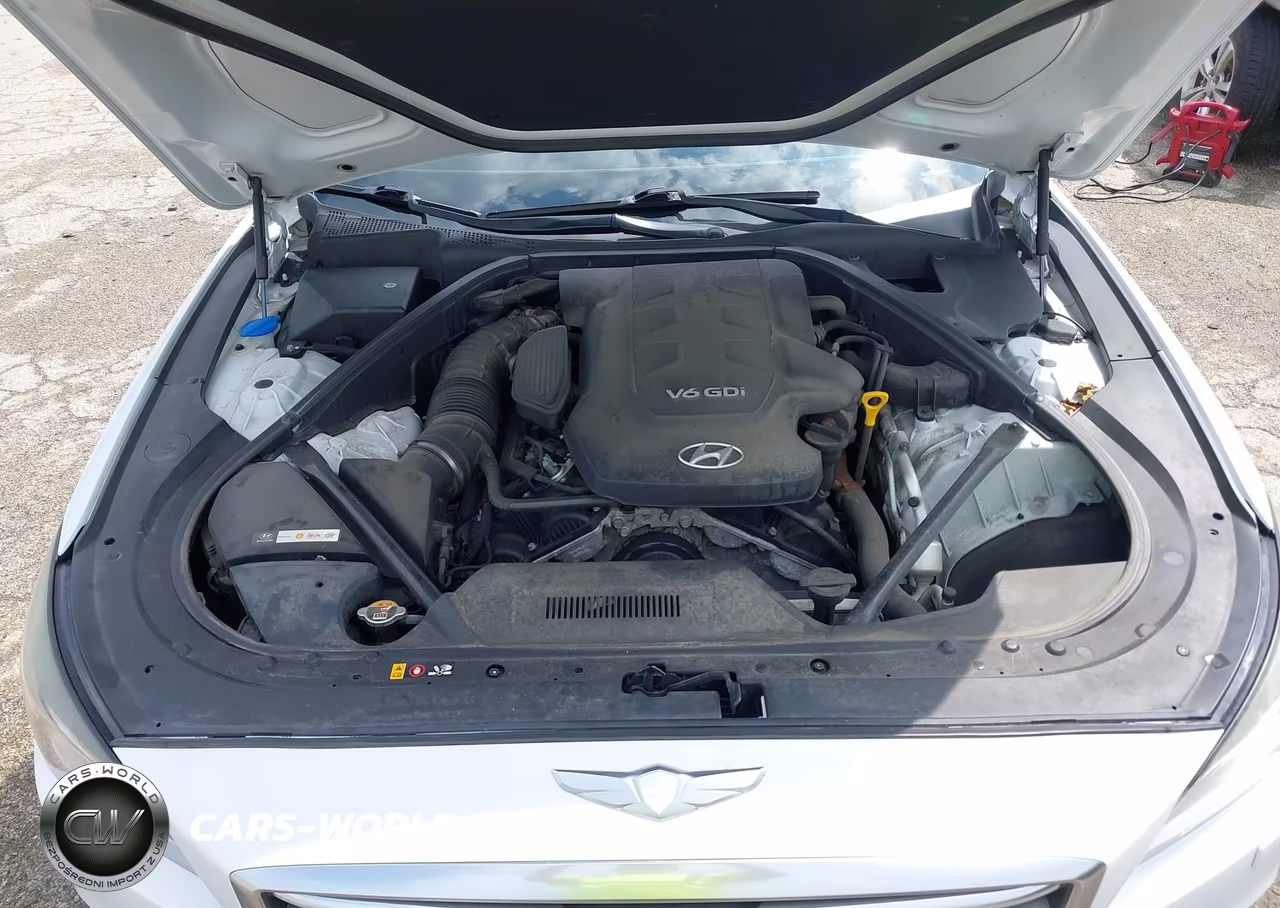 2016 Hyundai Genesis 3.8 VIN:KMHGN4JE7GU115615 - 10
