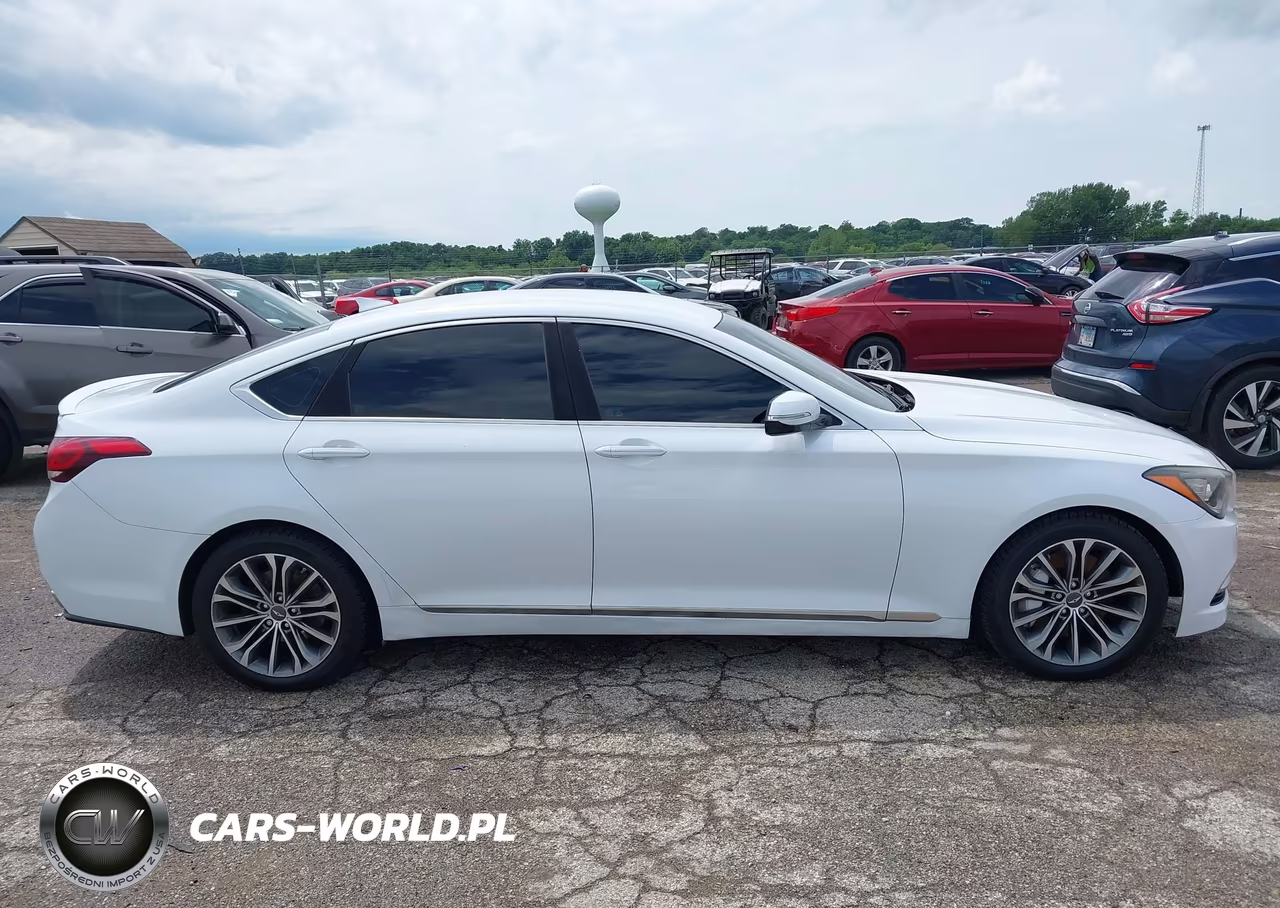 2016 Hyundai Genesis 3.8 VIN:KMHGN4JE7GU115615 - 13
