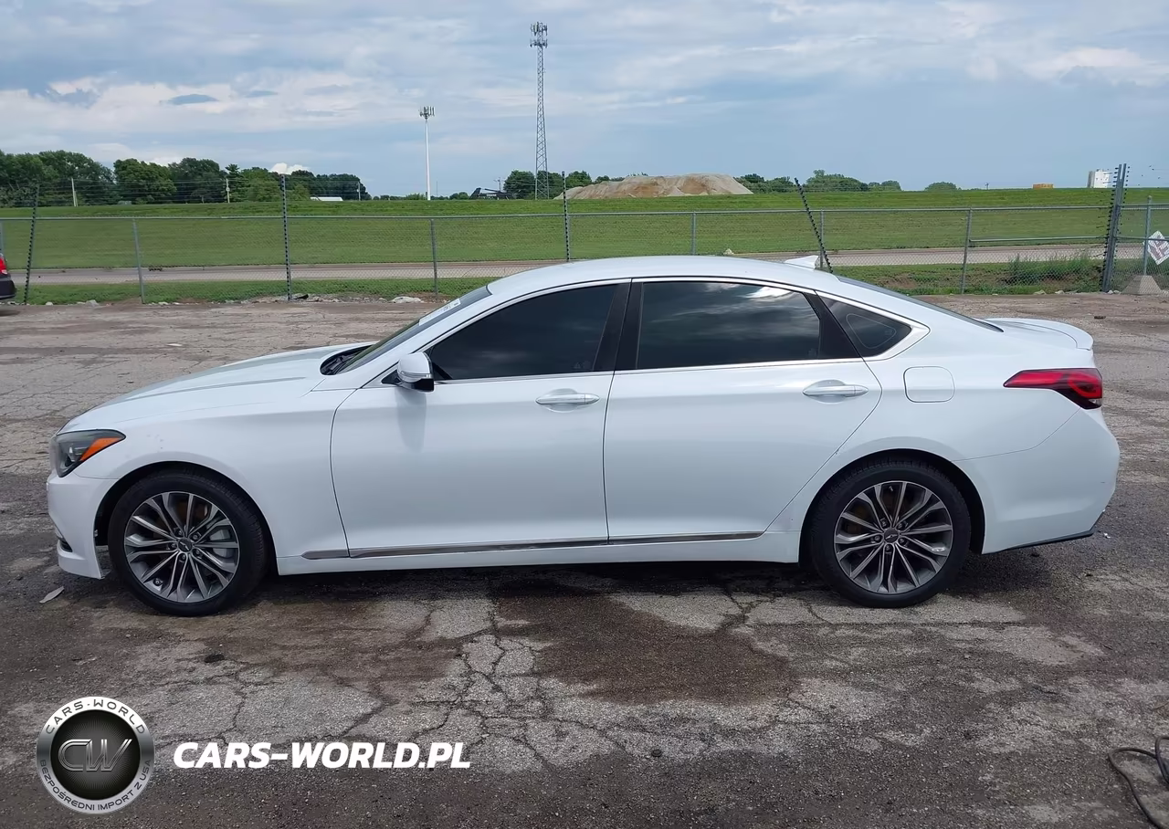 2016 Hyundai Genesis 3.8 VIN:KMHGN4JE7GU115615 - 14