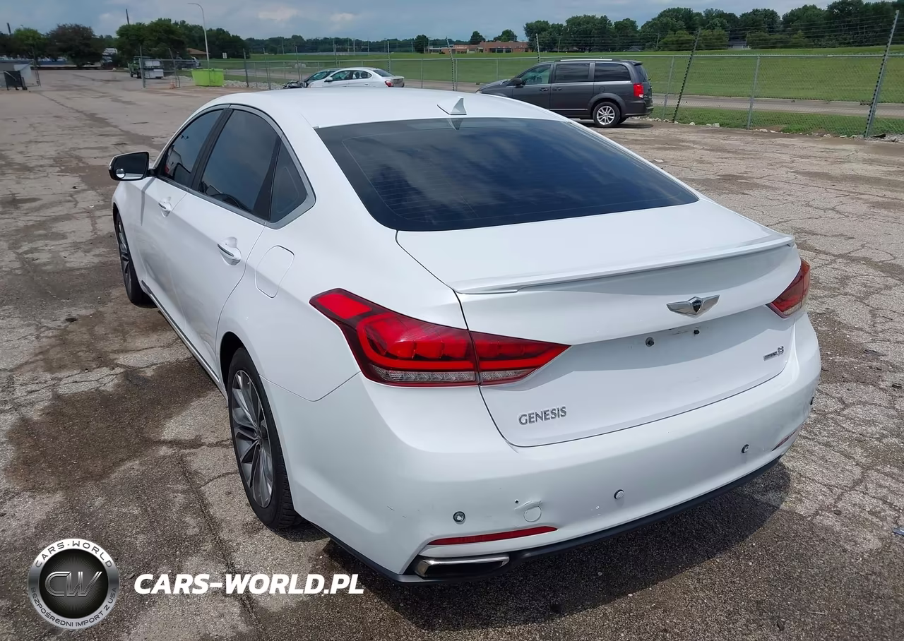 2016 Hyundai Genesis 3.8 VIN:KMHGN4JE7GU115615 - 3