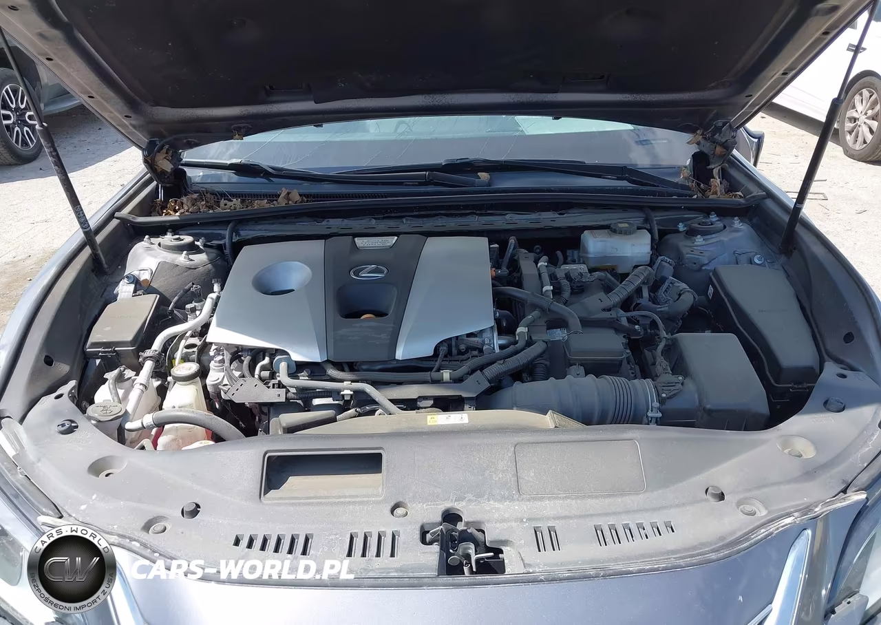 2020 Lexus Es 300H VIN:58AD21B15LU008037 - 10