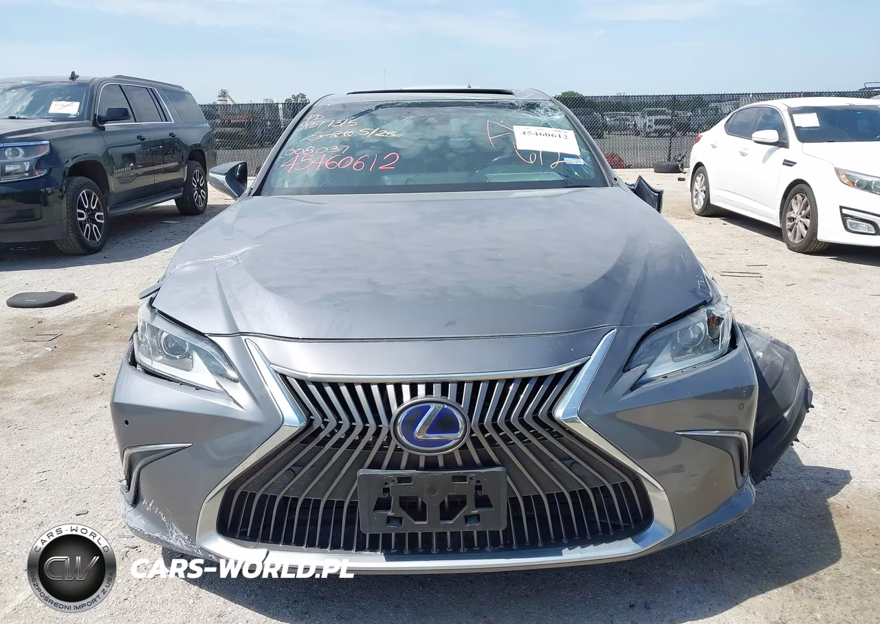 2020 Lexus Es 300H VIN:58AD21B15LU008037 - 12