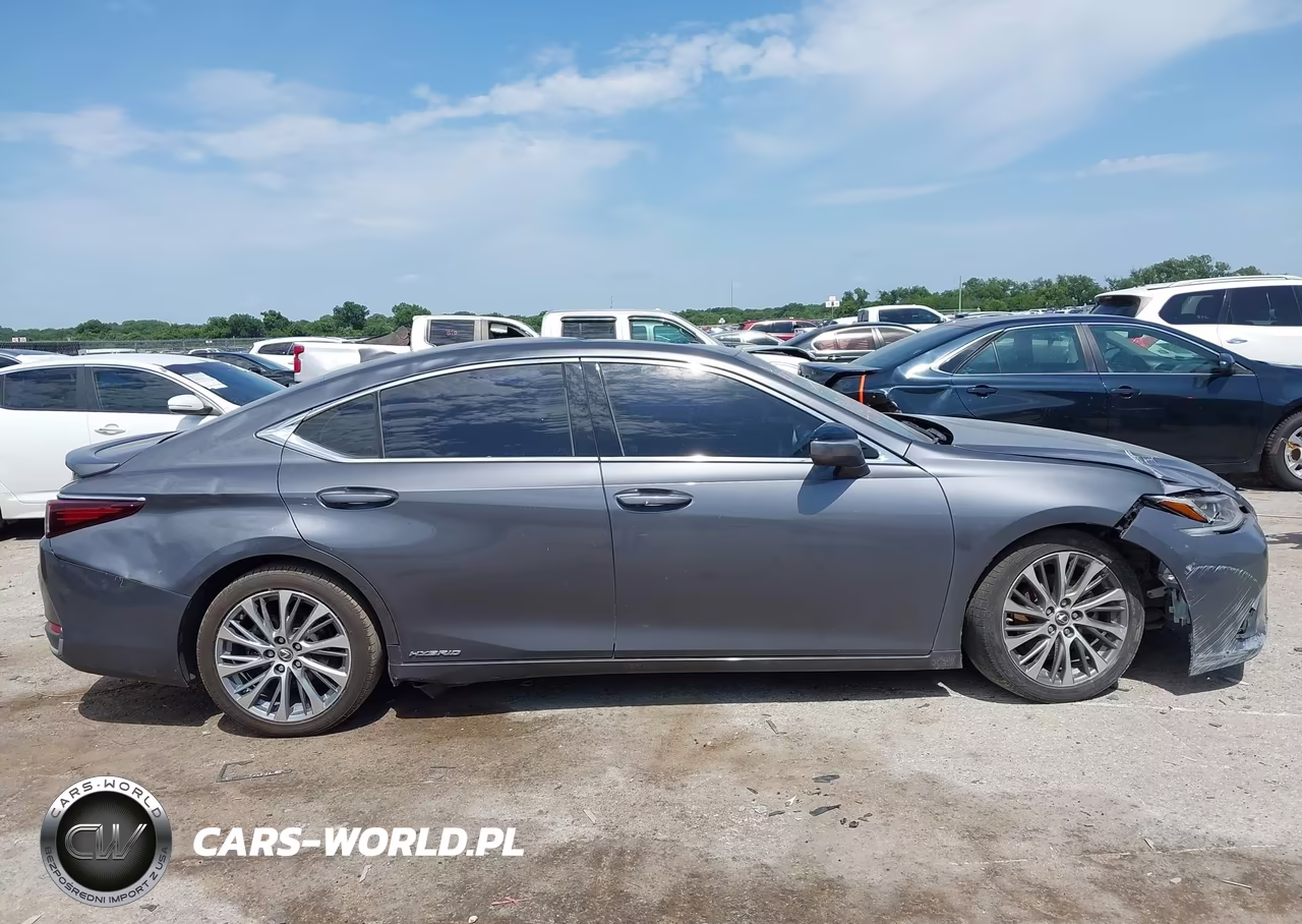 2020 Lexus Es 300H VIN:58AD21B15LU008037 - 13