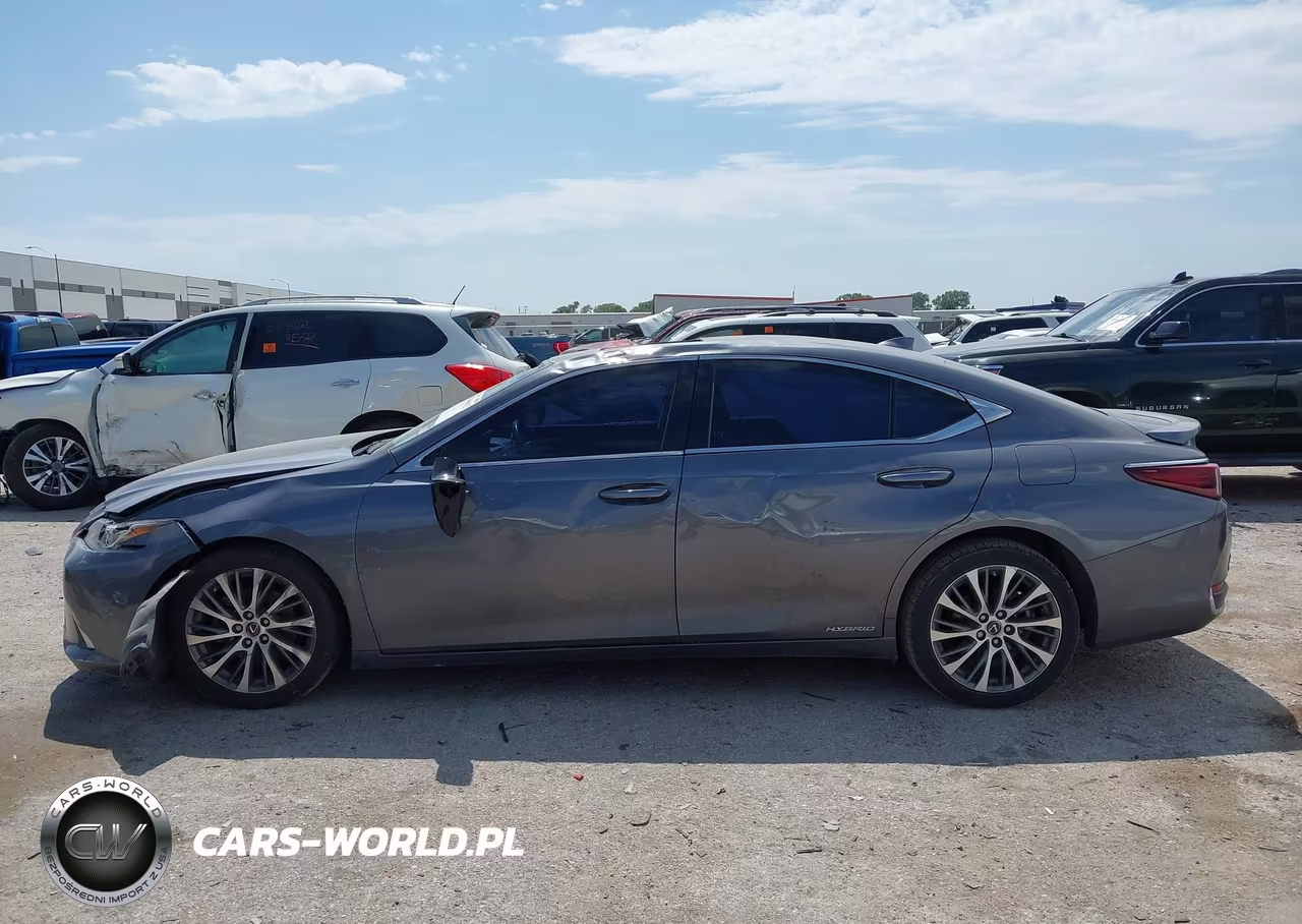 2020 Lexus Es 300H VIN:58AD21B15LU008037 - 14