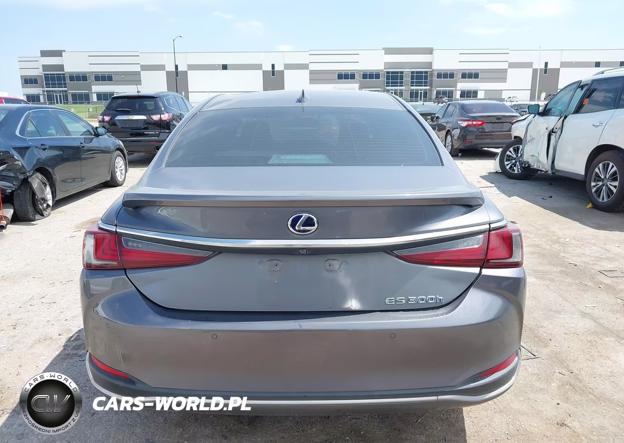 2020 Lexus Es 300H VIN:58AD21B15LU008037 - 16