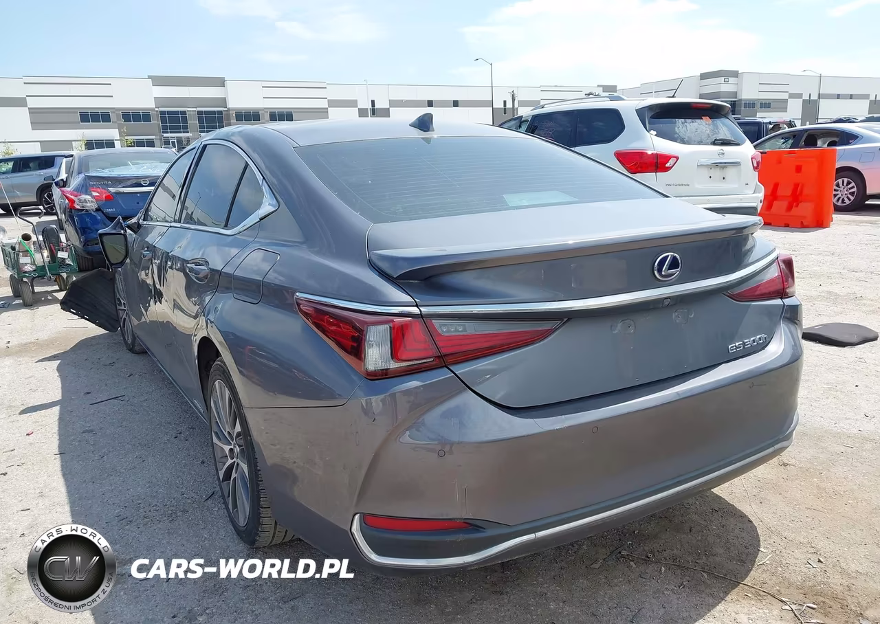2020 Lexus Es 300H VIN:58AD21B15LU008037 - 3