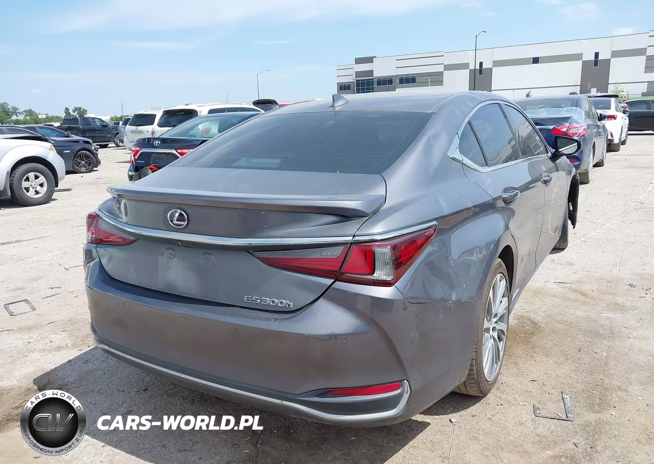 2020 Lexus Es 300H VIN:58AD21B15LU008037 - 4