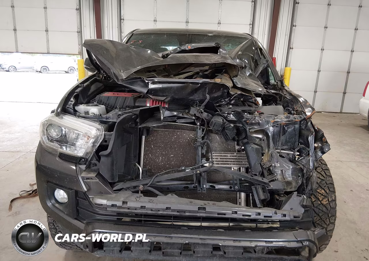 2019 Toyota Tacoma Trd Sport VIN:3TMCZ5AN6KM279898 - 12