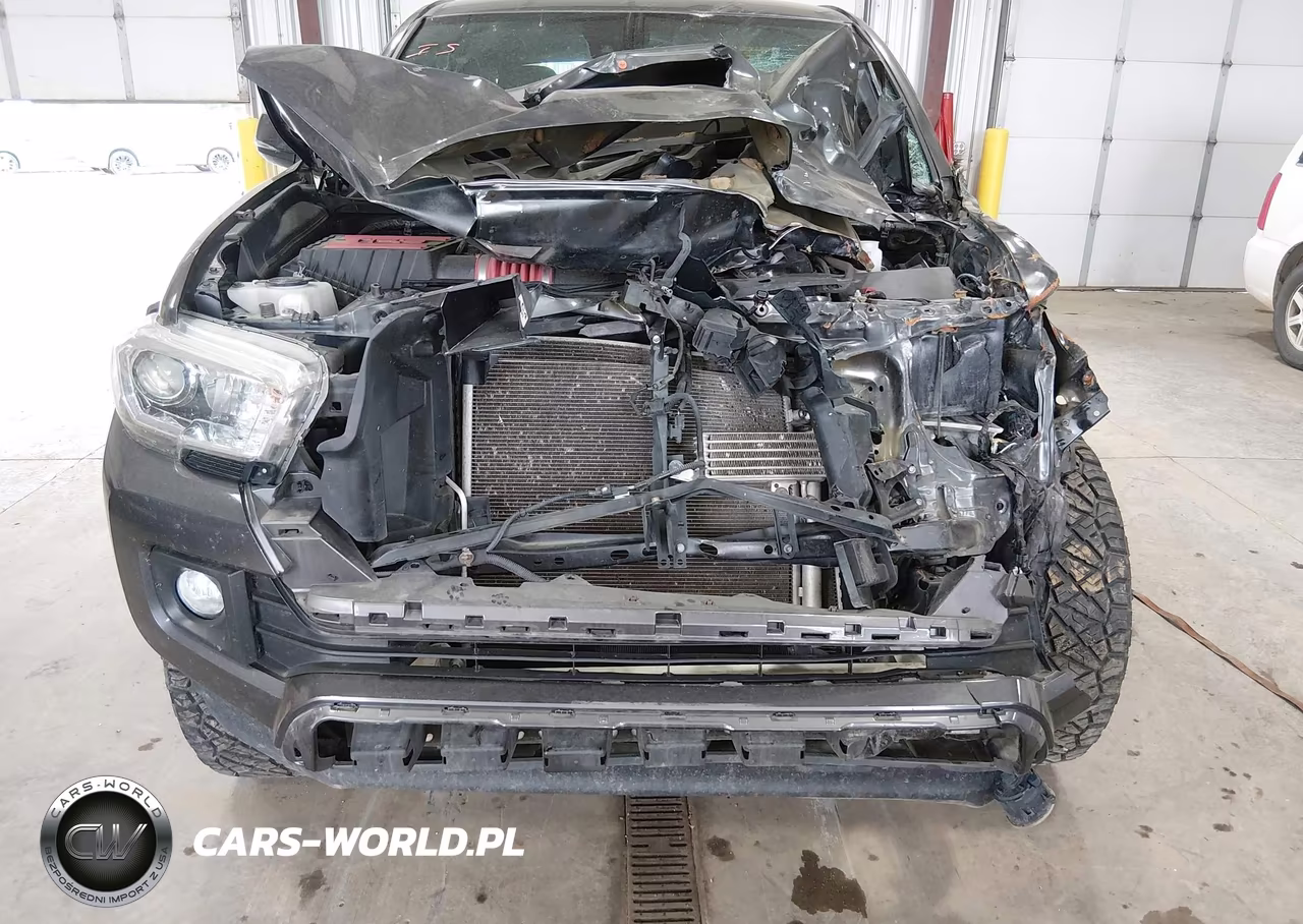 2019 Toyota Tacoma Trd Sport VIN:3TMCZ5AN6KM279898 - 6