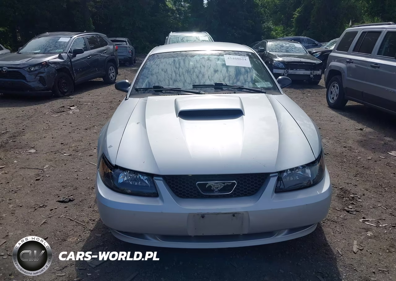 2003 Ford Mustang VIN:1FAFP40413F312898 - 6