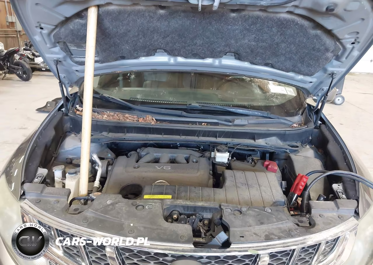 2011 Nissan Murano Sl VIN:JN8AZ1MW7BW185697 - 10