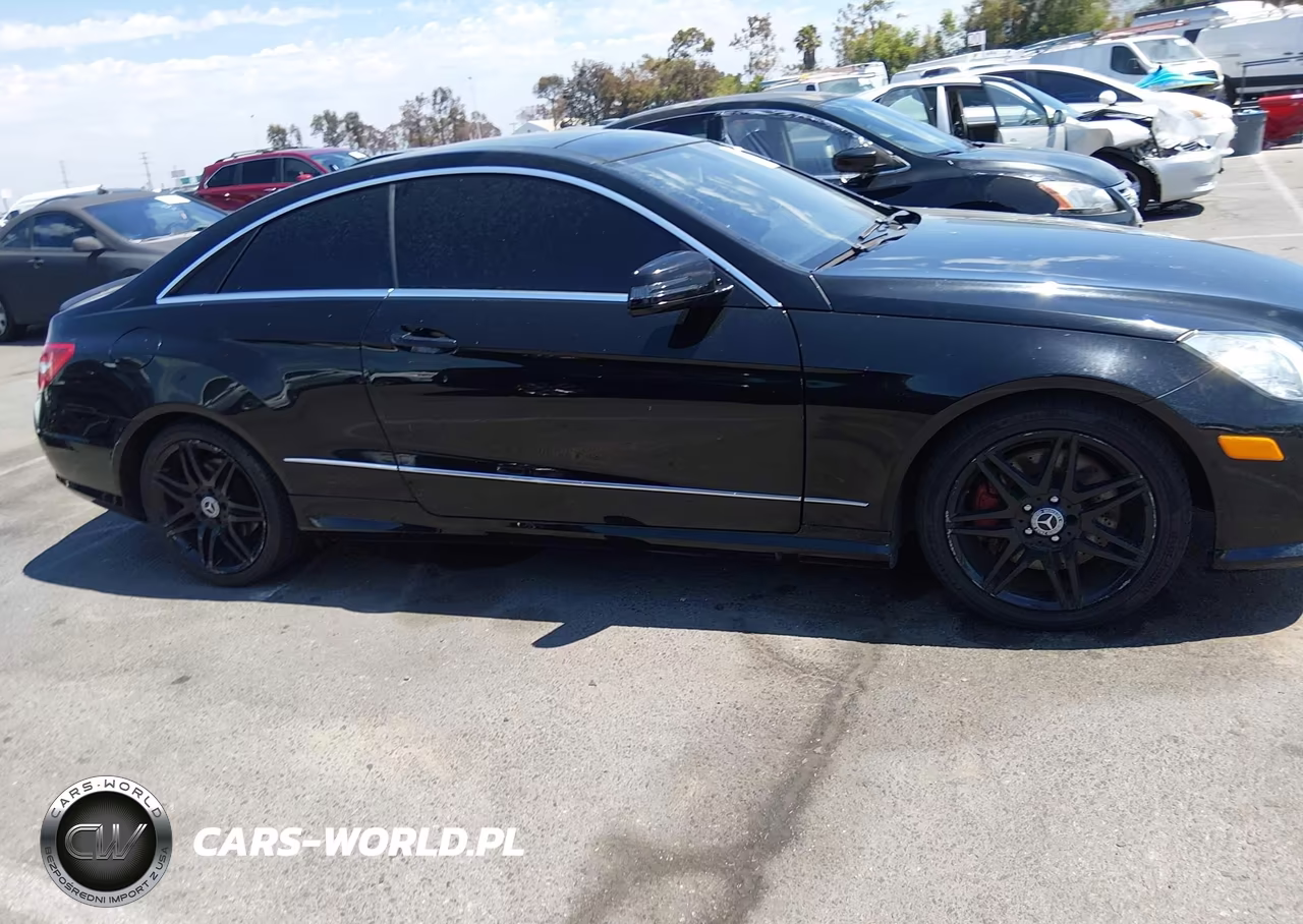2011 Mercedes-Benz E 550 VIN:WDDKJ7CB1BF120424 - 13