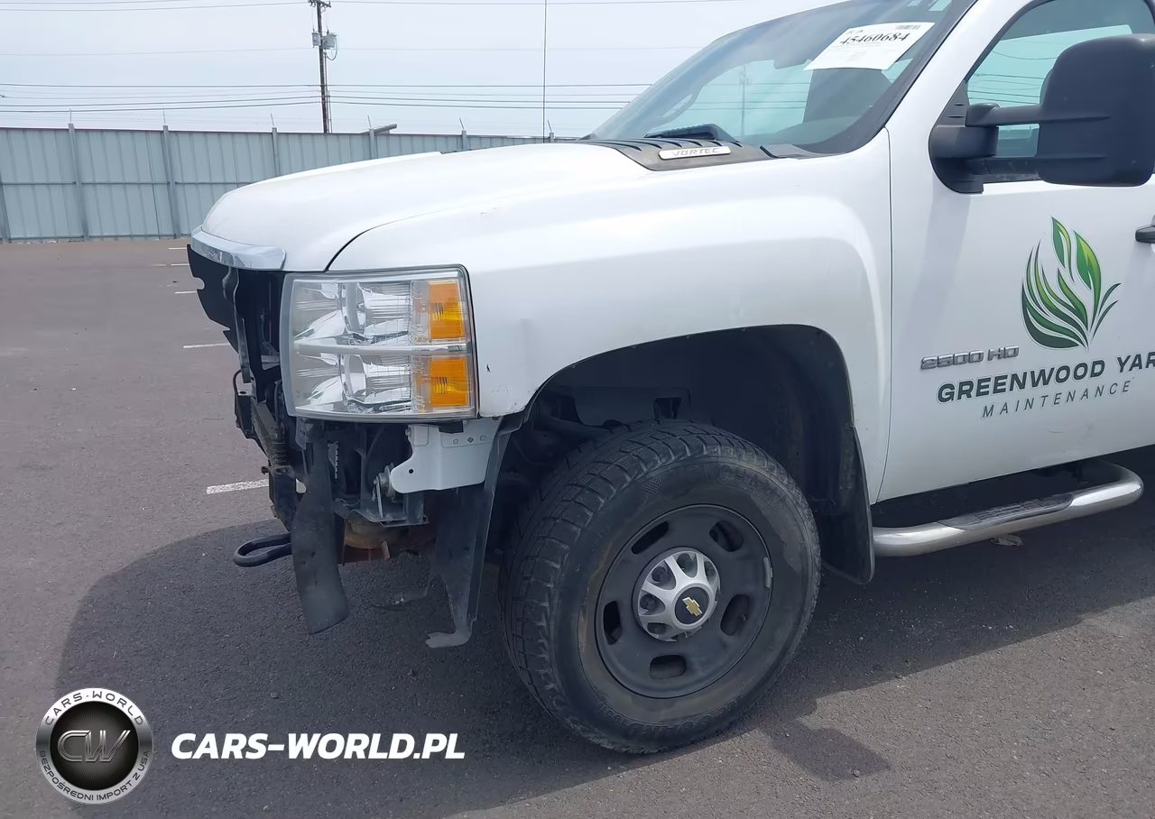2012 Chevrolet Silverado 2500Hd Work Truck VIN:1GC0KVCG8CF202747 - 20