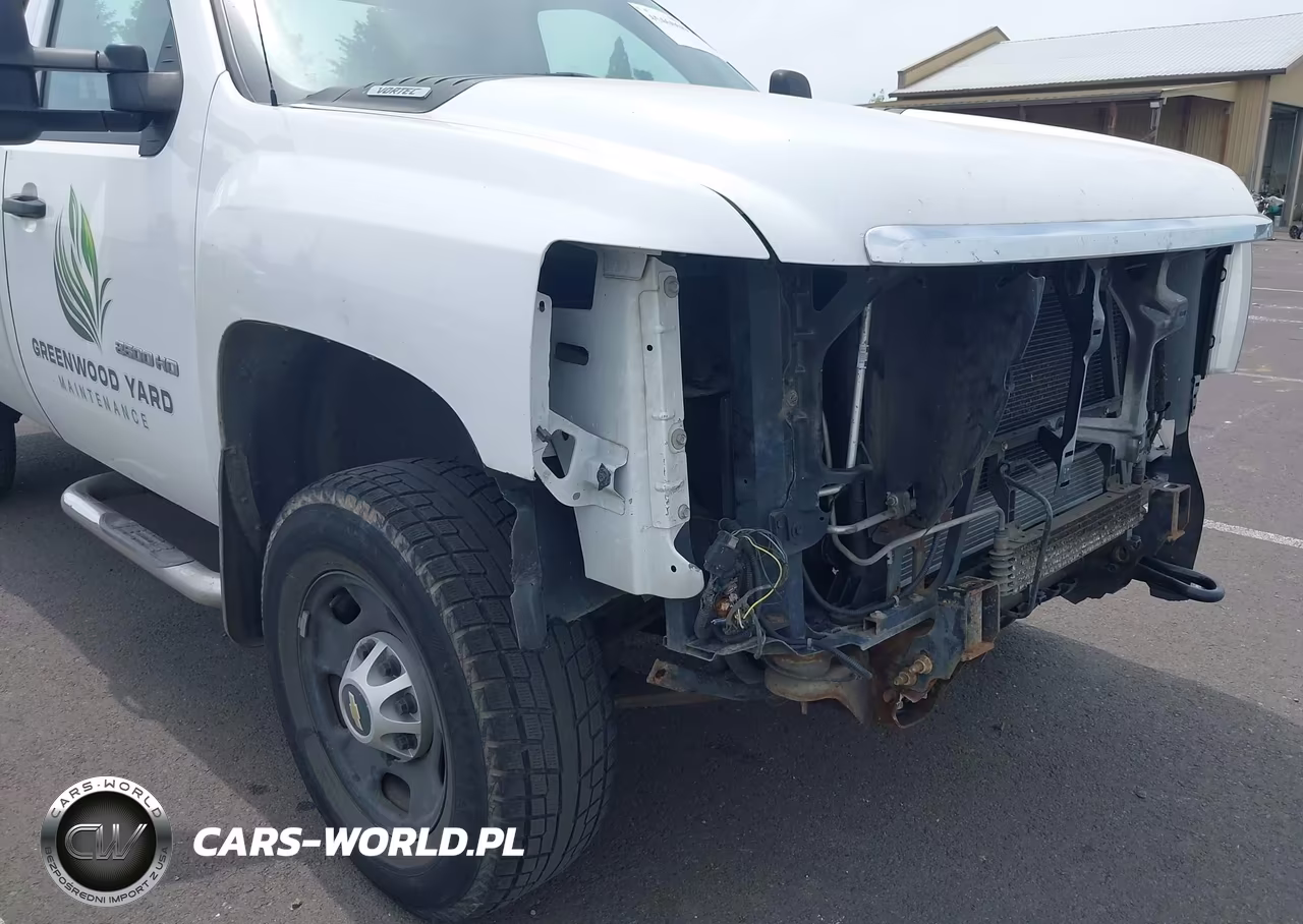 2012 Chevrolet Silverado 2500Hd Work Truck VIN:1GC0KVCG8CF202747 - 21