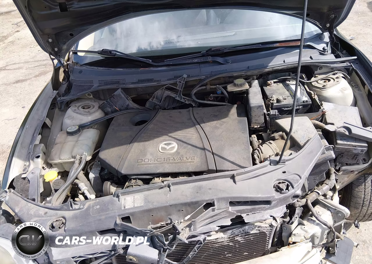 2004 Mazda Mazda3 I VIN:JM1BK12F541201032 - 10
