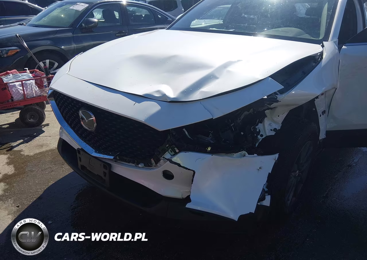 2025 Mazda Cx-30 2.5 S VIN:3MVDMBAMXSM819809 - 6