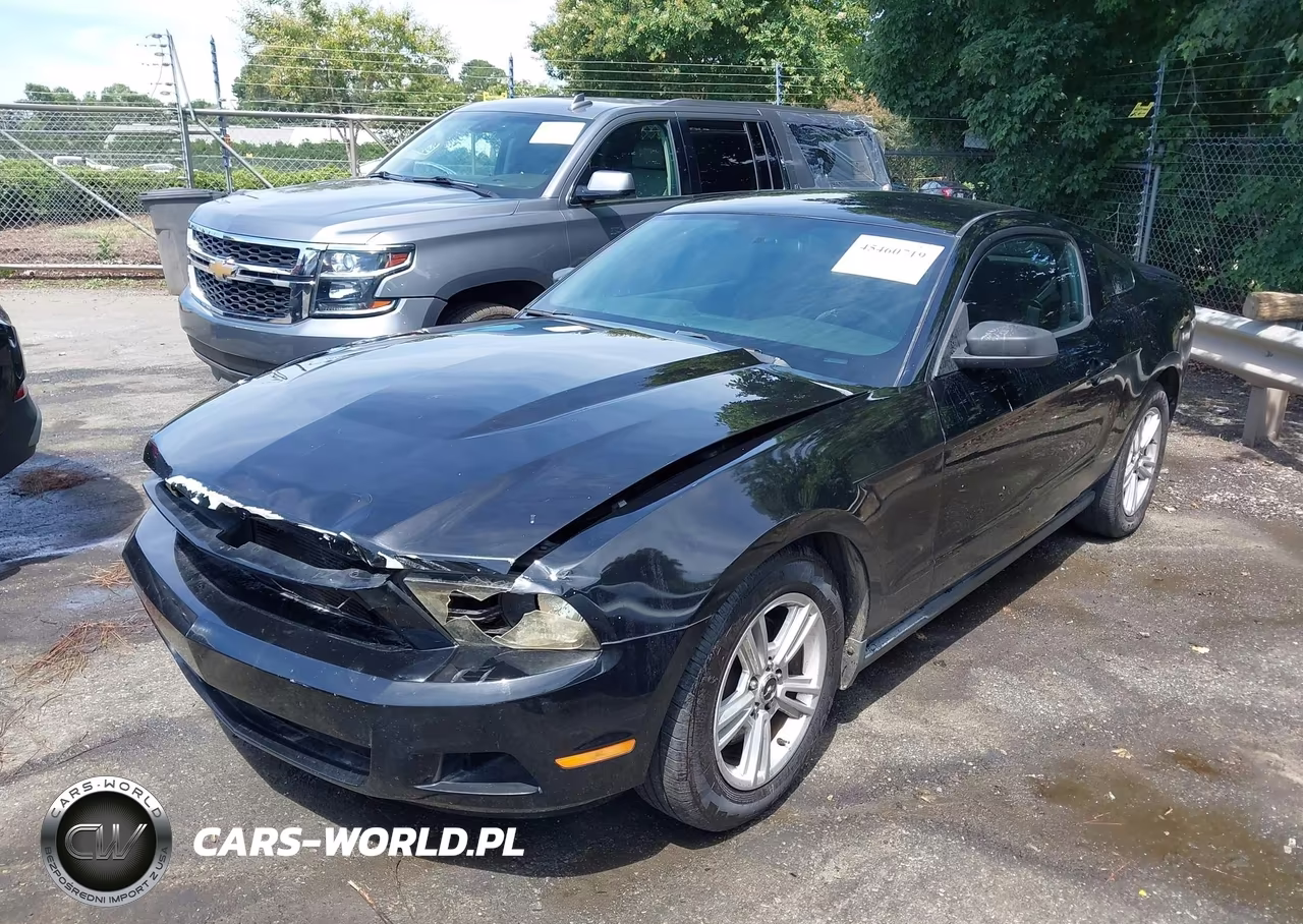 2011 Ford Mustang V6-V6 Premium VIN:1ZVBP8AM9B5142550 - 2