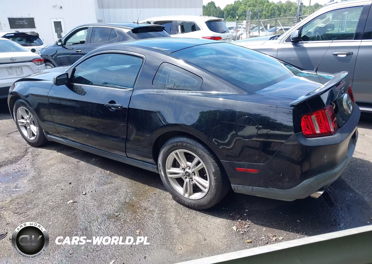 2011 Ford Mustang V6-V6 Premium VIN:1ZVBP8AM9B5142550 - 3