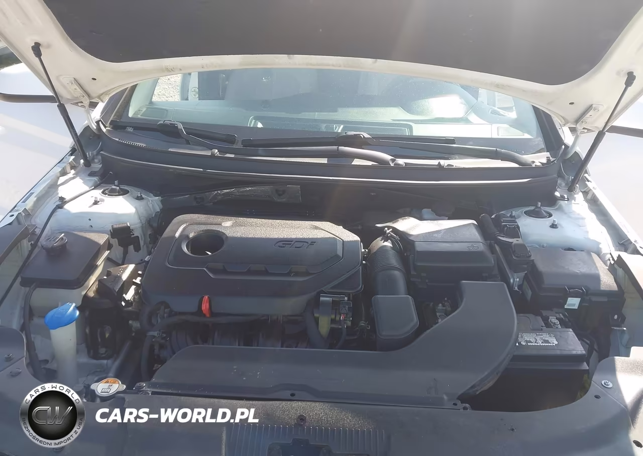 2016 Hyundai Sonata VIN:5NPE24AF7GH403061 - 10