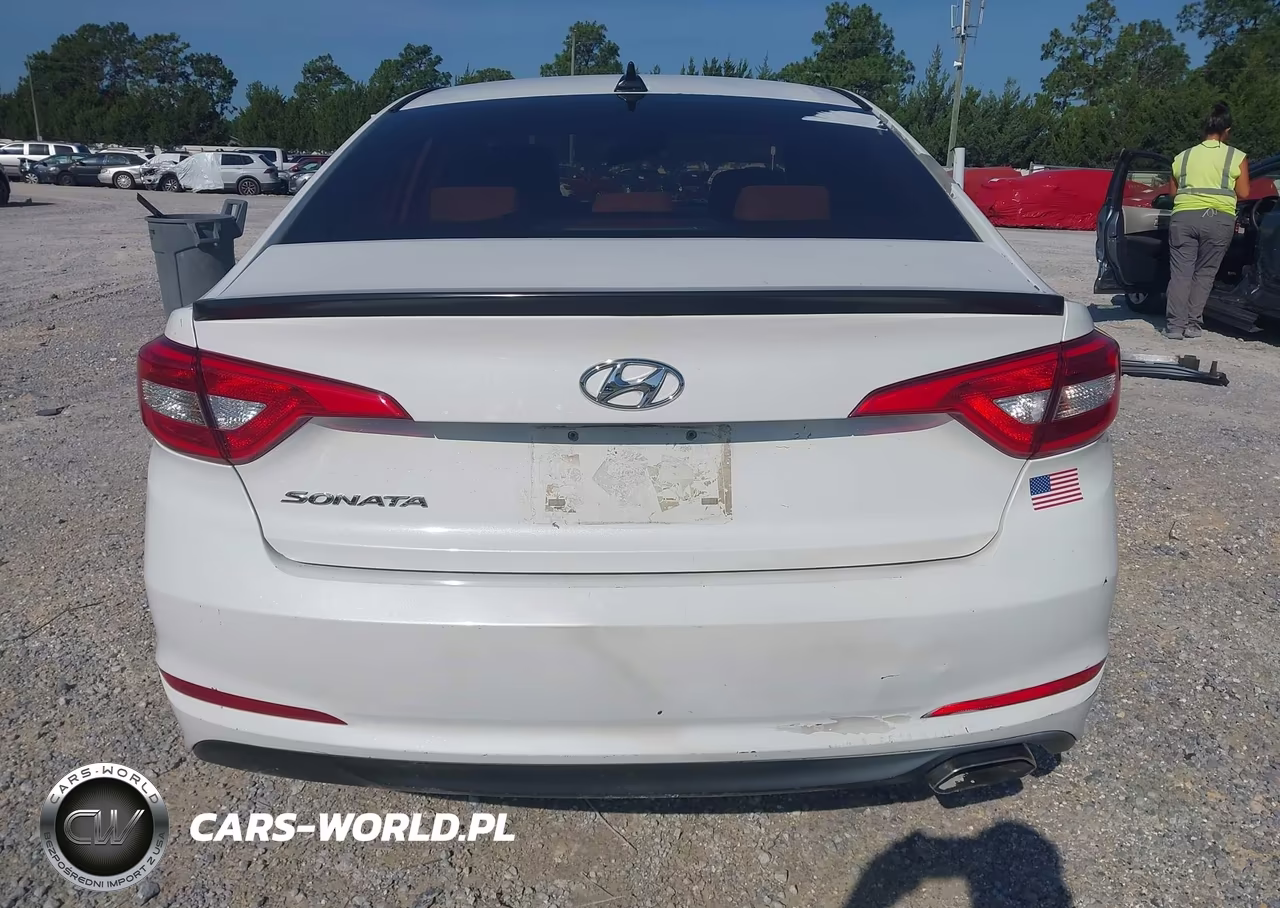 2016 Hyundai Sonata VIN:5NPE24AF7GH403061 - 16