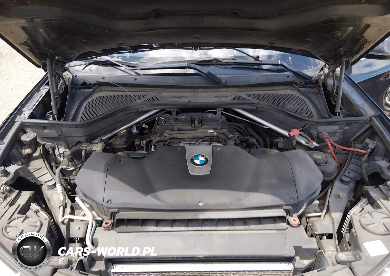 2016 BMW X5 xDrive50I VIN:5UXKR6C53G0J79801 - 10