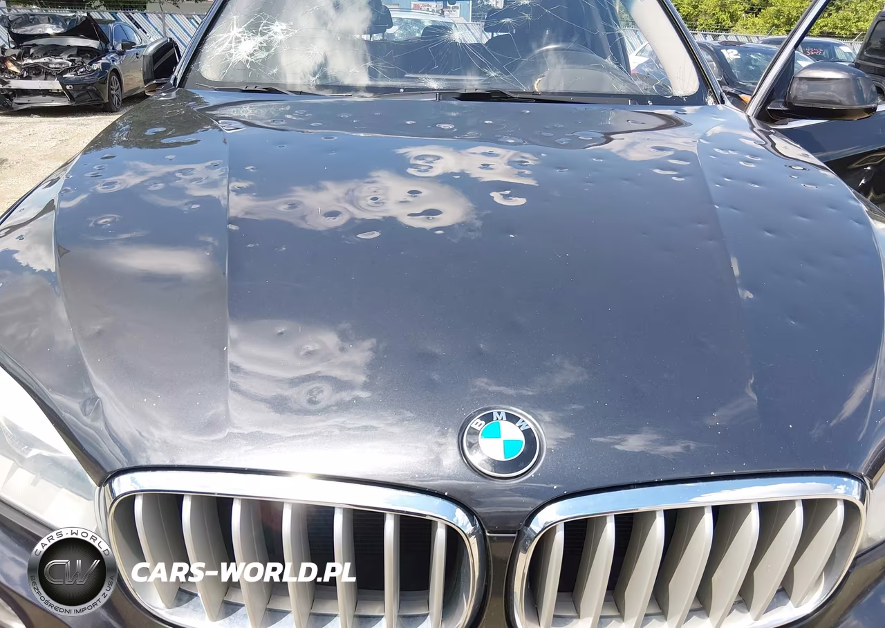 2016 BMW X5 xDrive50I VIN:5UXKR6C53G0J79801 - 12