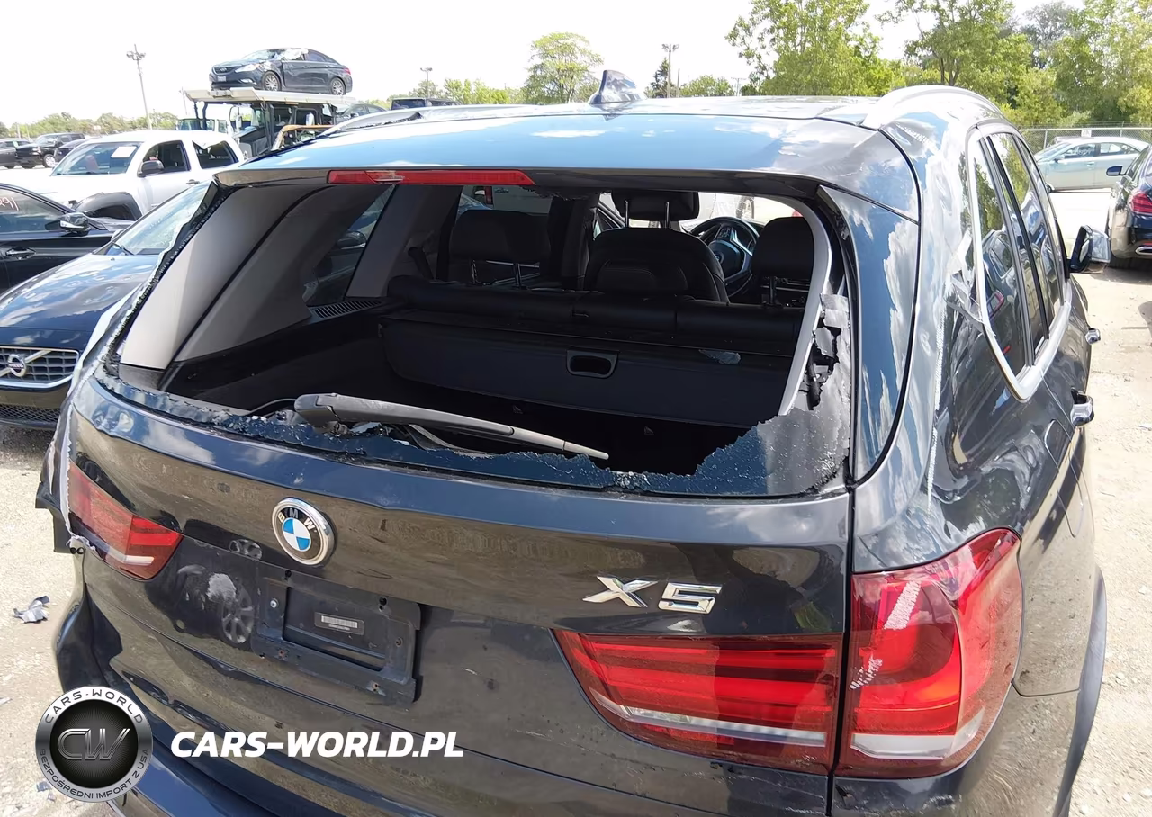 2016 BMW X5 xDrive50I VIN:5UXKR6C53G0J79801 - 19