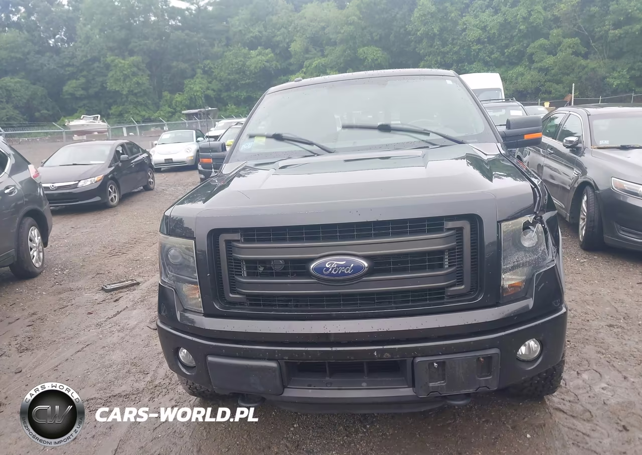 2014 Ford F-150 Fx4-Lariat-Xl-Xlt VIN:1FTFX1ET8EFA53869 - 12