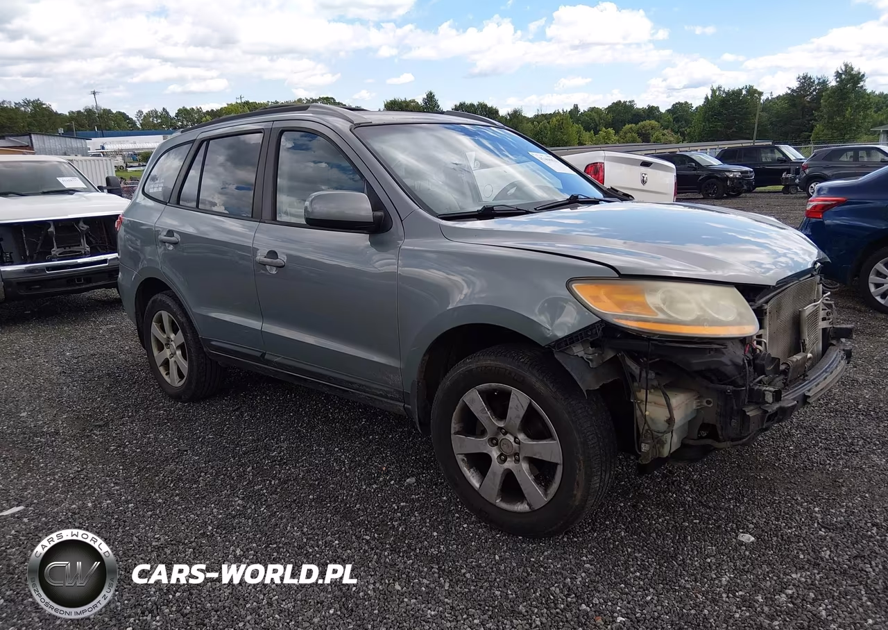 2009 Hyundai Santa Fe Se – zdjęcie 1 z 17