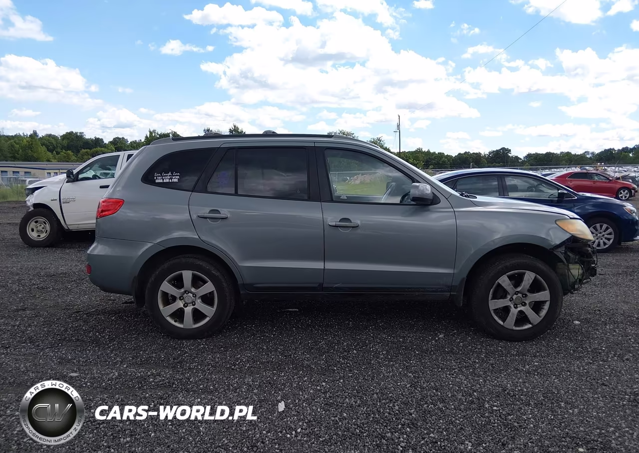 2009 Hyundai Santa Fe Se VIN:5NMSH13E09H321628 - 14