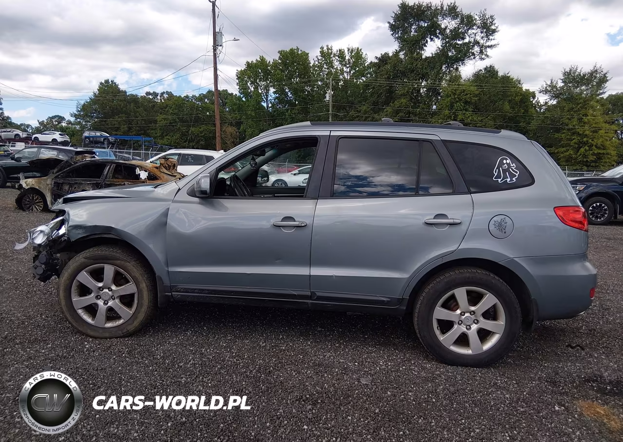 2009 Hyundai Santa Fe Se VIN:5NMSH13E09H321628 - 15
