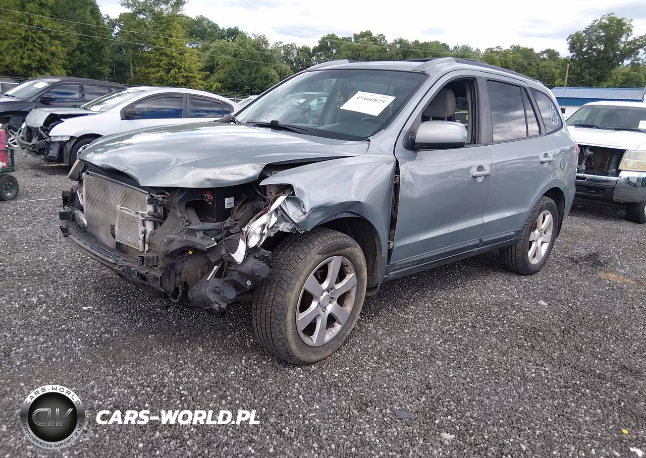 2009 Hyundai Santa Fe Se VIN:5NMSH13E09H321628 - 2