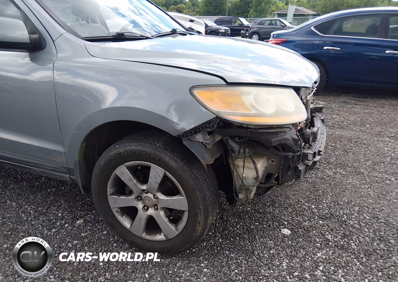 2009 Hyundai Santa Fe Se VIN:5NMSH13E09H321628 - 6