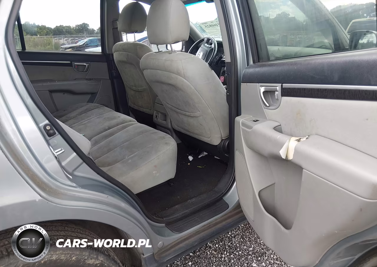 2009 Hyundai Santa Fe Se VIN:5NMSH13E09H321628 - 8