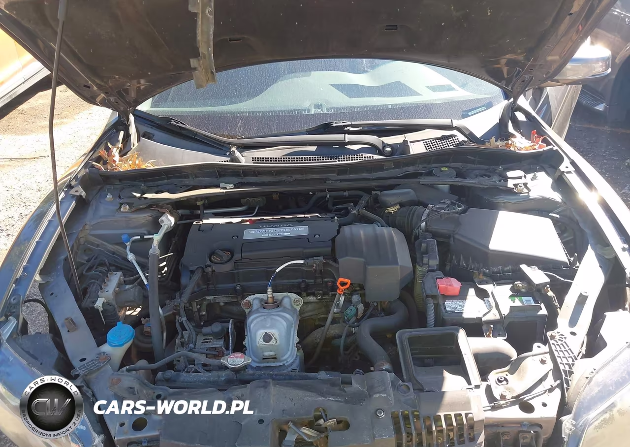 2013 Honda Accord Ex-L VIN:1HGCT1B81DA003973 - 10