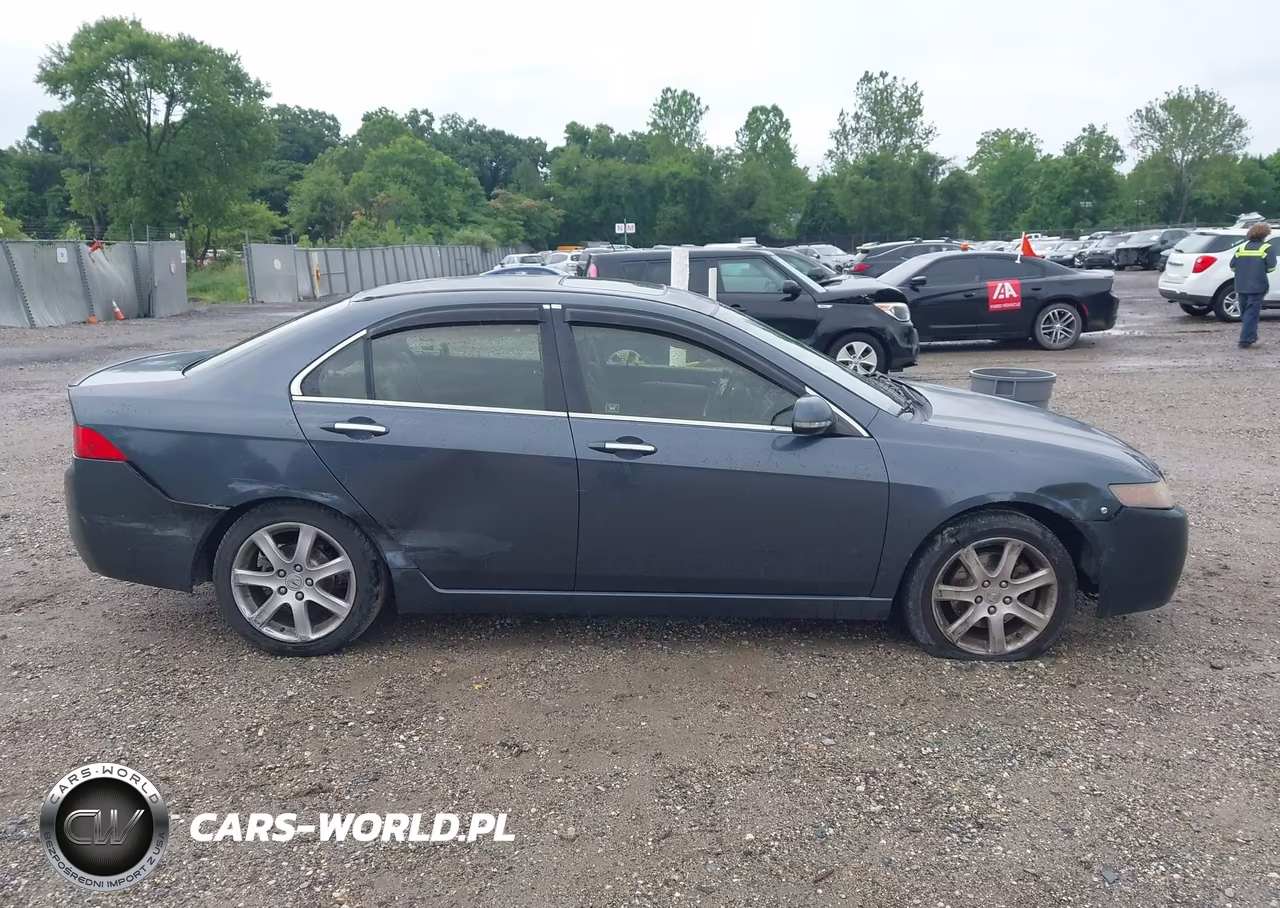 2004 Acura Tsx VIN:JH4CL969X4C034593 - 13