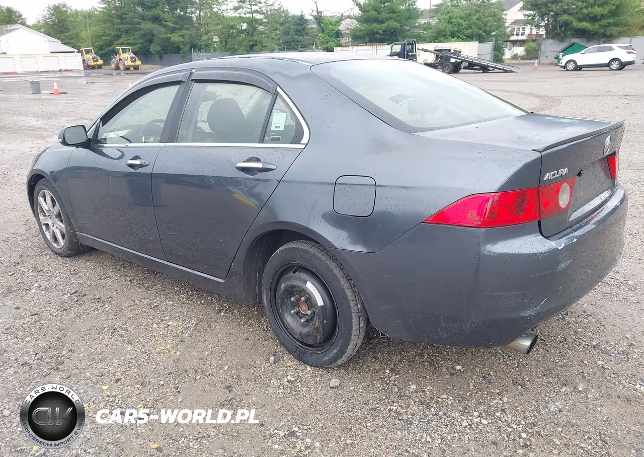 2004 Acura Tsx VIN:JH4CL969X4C034593 - 3
