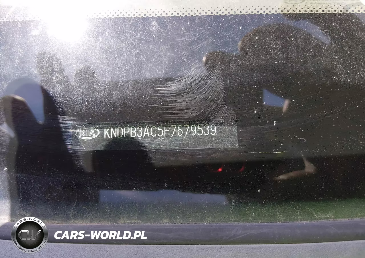 2015 Kia Sportage Lx VIN:KNDPB3AC5F7679539 - 9