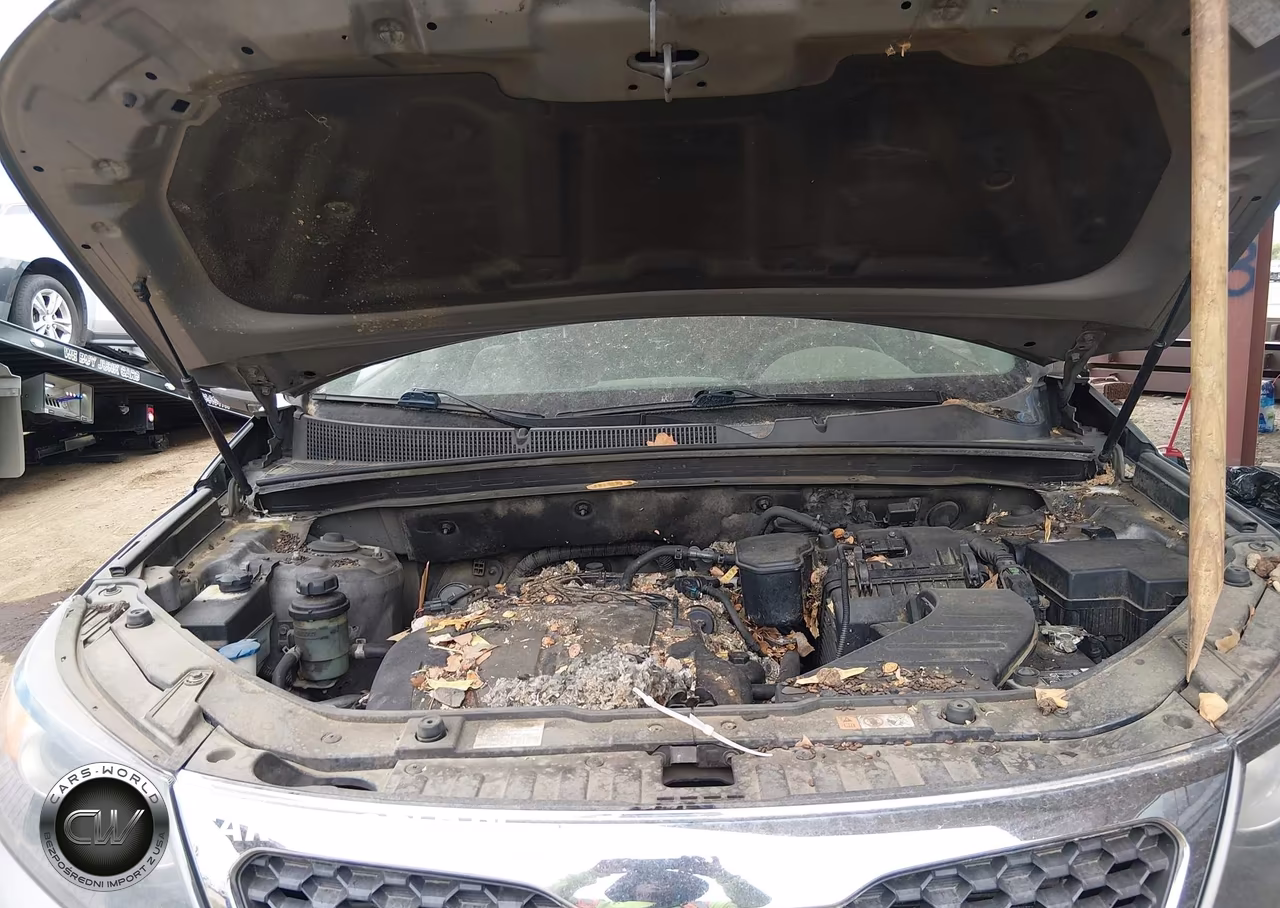 2013 Kia Sorento Lx V6 VIN:5XYKT4A23DG350732 - 10