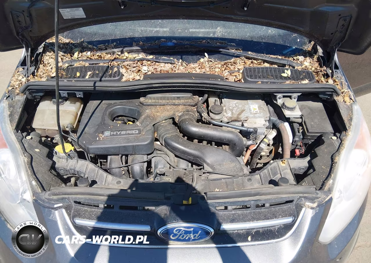 2016 Ford C-Max Hybrid Sel VIN:1FADP5BU0GL107476 - 10
