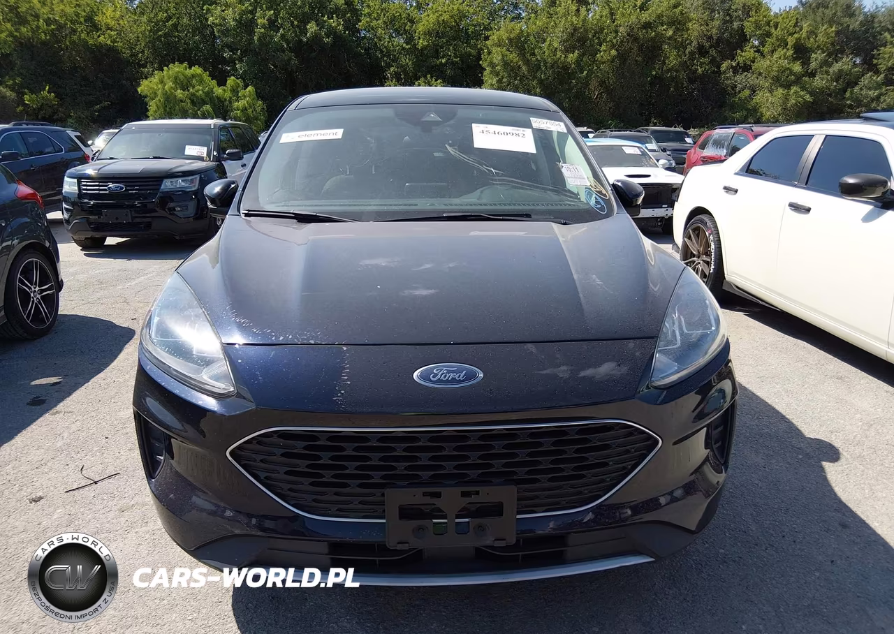 2021 Ford Escape Se Hybrid VIN:1FMCU0BZ2MUA68243 - 12