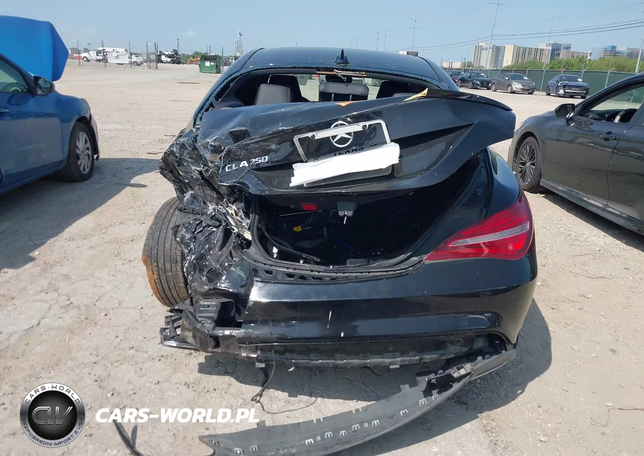 2019 Mercedes-Benz Cla 250 VIN:WDDSJ4EB1KN743480 - 16
