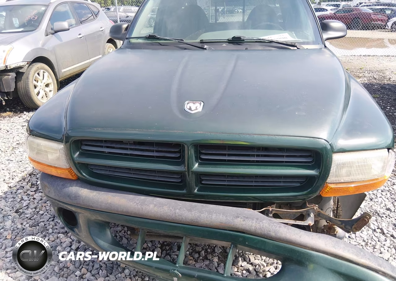 1999 Dodge Dakota Slt-Sport VIN:1B7GL22Y8XS161599 - 12